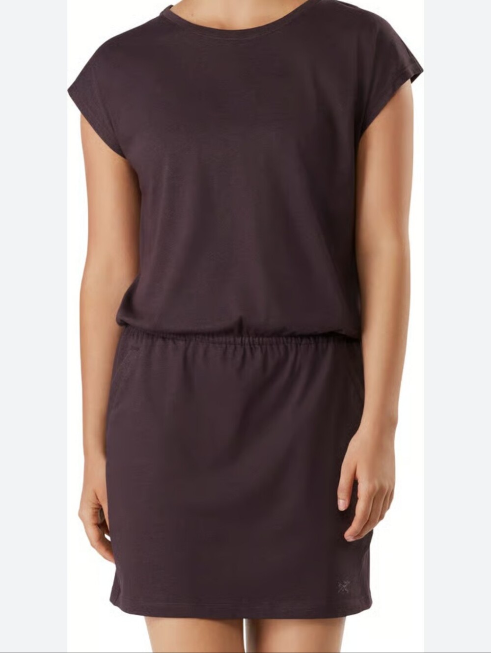 Arc'teryx Women's Mini Dress in Deep Plum